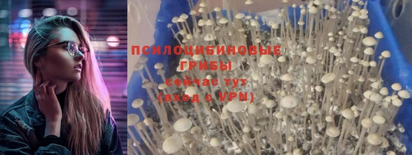 бошки Семикаракорск